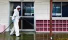 Ein Arbeiter reinigt den Kindergarten Yasawa in der Kleinstadt Minima-Soma, 20 Kilometer stlich von Fukushima gelegen. Die japanische Regierung und freiwillige Helfer wollen die verstrahlten Gebiete wieder bewohnbar machen. Aufgrund der schlechten Informationspolitik und dem Vertrauensverlust in die japanische Fhrung bleibt allerdings abzuwarten, ob die Evakuierten berhaupt wieder zurck wollen. Foto: dapd