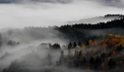Herbstlich verfärbte Bäume bei Hornberg im Schwarzwald. In den Tälern der Ortenau hält sich noch der Nebel, während sich auf den Höhen schon die Sonne zeigt.  Foto: dpa