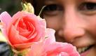 ACHTUNG REDAKTIONEN: SPERRFRIST DIENSTAG (20.06.2006) 19.30 UHR - Eine Besucherin des Baden-Badener Rosengartens Beutig betrachtet am Dienstag (20.06.2006) eine leuchtendrosa mit pfirsichfarbenem Hauch blühende Floribunda Rose des Züchters Robert Laperriere aus Frankreich. Die Rose mit dem Namen Jet Set soll am Dienstag (20.06.2006) beim 54. Internationalen Rosenneuheiten-Wettbewerb zur schönsten Rose des Jahres gekürt werden. Beim diesjährigen Wettbewerb sind nach Veranstalterangaben 31 Züchter aus 13 Ländern mit insgesamt 115 Rosenneuheiten vertreten. Foto: Uli Deck dpa/lsw (zu lsw vom 20.06.2006) +++(c) dpa - Bildfunk+++ Foto: dpa