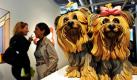 Besucherinnen der Kunstmesse Art 41 in Basel gehen an der Plastik Yorkshire Terriers des amerikanischen Künstlers Jeffe Koons vorbei. Auf der internationalen Kunstmesse stellen 300 Galerien aus 37 Ländern Werke von mehr als 2500 Künstlern aus. Foto: dpa
