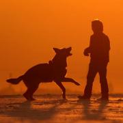 Wie Hund und Herrchen so ticken (Foto)