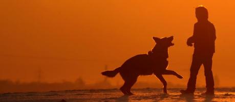 Wie Hund und Herrchen so ticken (Foto)