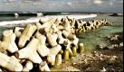 Betonelemente an der Küste der Malediven sollen vor dem Abtragen des Sandes schützen. Viele Touristen haben sich auf den Weg zu den Malediven gemacht, um die Inseln zu sehen, bevor sie verschwinden. Bei einem Anstieg des Wasserspiegels drohen Inseln wie die Malediven im Meer zu versinken. Foto: ap