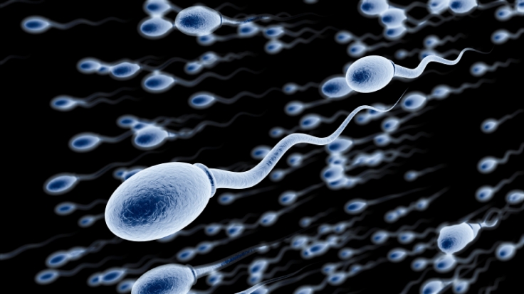 Spermaa