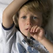 Was gegen Fieber und Schmerzen hilft (Foto)