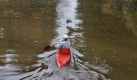 Rentner Werner Hoffmeister fährt bei bewölktem Wetter und mäßigen Temperaturen mit seinem Kanu durch den Torfkanal entlang des Bürgerparks in Bremen. Foto: ap