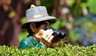 Eine Gartenfigur mit einem Fernglas steht in Hohensaaten (Landkreis Märkisch-Oderland) hinter der Hecke eines Vorgartens. Zum Wochenende sagen Meteorologen vorwiegend sommerliches Wetter bei Temperaturen von bis zu 22 Grad voraus. Foto: dpa