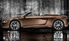 Audi R8 Spyder (Foto)