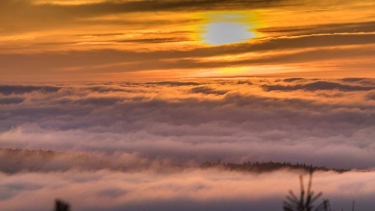 Nachdem sich der Frühnebel verzogen hat, sind vielerorts Temperaturen bis zu 20 Grad möglich.