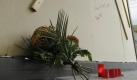 Kerzen und Blumen stehen in Düsseldorf an der Königsstraße vor einer abgedeckten Schaufensterscheibe. Einen Tag nach dem gewaltsamen Tod eines 24-jährigen Mannes an der Königsallee hat die Polizei einen von drei Tatverdächtigen gefasst. Das spätere Opfer soll nach einem Diskothekenbesuch am frühen Samstagmorgen von einer dreiköpfigen Gruppe verfolgt und gegen eine Schaufensterscheibe geschubst worden sein. Die Scheibe zerbrach, der zweifache Familienvater starb an massiven Schnittverletzungen am Hals. Foto: dapd
