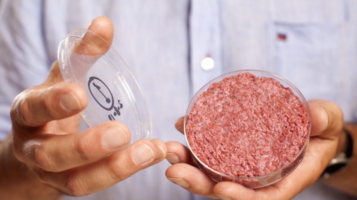 In-vitro-Fleisch wächst in der Petrischale aus tierischen Muskelzellen.