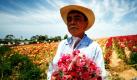 Ein Mann, der bei der Blumenernte behilflich ist, posiert im kalifornischen Carlsbad für einen Fotografen. Die Blumen werden in den gesamten USA verkauft. Foto: ap