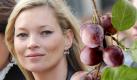Kate Moss erntet Pflaumen vom eigenen Landgut und macht Marmelade. Foto: dpa/ddp images (Montage)