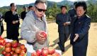 ... vertreibt Kummer und Sorgen. Auch Diktatoren müssen auf ihre Gesundheit achten. Nordkoreas Kim Jong Il begutachtet die Obsternte auf einer Plantage. Das gestern von der Regierung veröffentlichte Foto hat keinen Anspruch auf Aktualität. Noch immer halten sich Gerüchte über eine schwere Krankheit des 70-jährigen Diktators. Foto: dpa