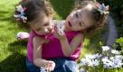 Bisher stets zusammen. Die beiden siamesischen Zwillinge Taylor und Emma spielen in einem Garten in Queen Creek, Arizona. In einem Jahr sollen die beiden Zweijährigen getrennt werden. Foto: ap