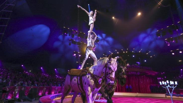 Beim 42. Internationalen Zirkusfestival von Monte Carlo zeigen Weltartisten ihr Können.