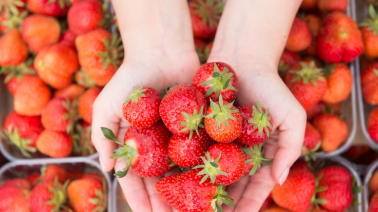 Wie gesund sind Erdbeeren wirklich?