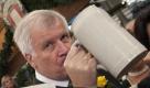 Der bayerische Ministerpraesident Horst Seehofer (CSU) hebt im Schottenhamel-Festzelt auf der Theresienwiese nach dem Anzapfen des ersten Bierfasses zur Eröffnung des Oktoberfests 2011 eine der ersten Maß Bier an. Foto: dapd