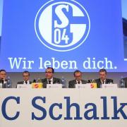 Schalke-Ziel: In zehn Jahren weitgehend schuldenfrei (Foto)