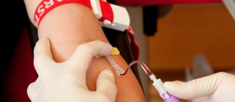 Patienten müssen eigene Blutgruppe nicht kennen (Foto)
