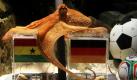 Oktopus Paul, aus dem Sea Life in Oberhausen, sagt den Sieg der deutschen Nationalelf beim heutigen Spiel gegen Ghana voraus. Bei der Wahl zwischen zwei Plexiglasboxen mit Futter entschied sich Paul für die deutsche Box. Auf den Oktopus könnte sogar Verlass sein - Paul hatte die Spiele gegen Serbien und Australien jeweils richtig getippt. Foto: dpa