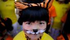 Dieses chinesische Schulkind hat sich nicht nur aus Freude den Tiger ins Gesicht gemalt. Es will die bedrohte Tierart retten helfen. Foto: ap