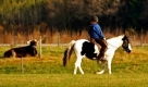 Zwei Frauen reiten bei Stockheim nahe Bad Woerishofen in Bayern über ein Feld. In Bayern ist es bei Höchstwerten von vier bis sieben Grad überwiegend trüb und bewölkt, nur vereinzelt kommt die Sonne zum Vorschein.  Foto: ddp