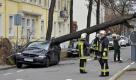 Einsatzkräfte der Feuerwehr stehen am Sonntag in Mainz-Kostheim neben einem umgestürzten Baum, der während des Sturms auf ein Auto gefallen war.
 Foto: ddp