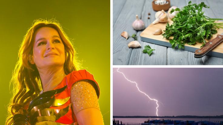 Die Nachrichten des Tages auf news.de