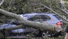 Ein Herbststurm kann Bäume entwurzeln und Dächer abdecken und das geliebte Auto zum Totalschaden degradieren. Foto: dpa