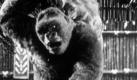 Ein Bravourstück der Animierkunst: King Kong und die weiße Frau.

 Foto: Kinowelt