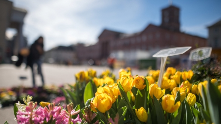 In den kommenden Tagen können sich in Deutschland bei Temperaturen von bis zu 20 Grad Frühlingsgefühle breit machen.