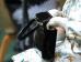 Queen Elizabeth mit Royale Handbag von Launer (Foto)