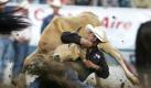 Luke Branquinho, of Los Alamos, Calif., wrestles his steer during the steer wrestling competition at the Reno Rodeo at the Reno Livestock Events Center in Reno, Nev., on Sunday, June 20, 2010. (AP Photo/Brad Horn)

 Foto: ap
