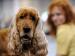 Thomas-Gottschalk_P_16008560614_HighRes.jpg (Foto)