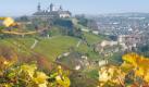 Sportlichere Spaziergänger nehmen den Weg hinauf zur Festung Marienberg. Zwischendurch empfiehlt es sich, inne zu halten und den Ausblick auf sattes Grün und den Maschikuli-Turm (unten rechts) zu genießen. Der gewaltige viergeschossige Geschützturm wurde von 1724 bis 1729 von Balthasar Neumann errichtet, um die Südflanke der Festung zu sichern. Foto: Congress-Tourismus-Wirtschaft Würzburg