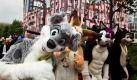 Es gibt mehr Menschen, die in ihrer Freizeit in Tierkostme steigen, als man gemeinhin denkt. In Erfurt treffen sich gerade ber 1.000 von ihnen zur 17. Eurofurence Convention. Die Furrys schlpfen in die Rolle sogenannter anthropomorpher Gestalten, also von Tieren mit menschlichen Eigenschaften. Foto: dpa