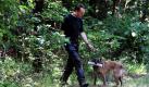 Ein Leichenspürhund durchsucht begleitet von einem Hundeführer ein Waldstück bei Kerpen. Der Kopf einer vor knapp fünf Monaten ermordeten Mutter von vier Kindern wurde am 14. Juni in diesem Waldstück gefunden. Erst heute steht fest, dass es sich tatsächlich um den Kopf der ermordeten Frau handelt. Foto: dpa