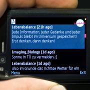 Aus dem OP zwitschert es (Foto)