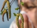 Jede zehnte Krankschreibung wegen Allergien (Foto)