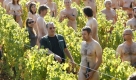 Rund 700 Menschen haben sich nackt vom US-Fotografen Spencer Tunick in einem Weinberg in Frankreich ablichten lassen, um auf die Folgen der Klimaerwärmung aufmerksam zu machen.  Foto: ap