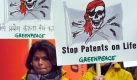 Aus Sicht von Greenpeace sind Gentechnik-Konzerne wie Monsanto Bio-Piraten, die durch Patentierungen die Weiterzüchtung von Pflanzen durch Kleinbauern blockieren können. Eines der Monsanto-Patente bezieht sich auf natürliche genetische Anlagen, die auch in von indischen Bauern gezüchteten Weizen vorkommen. Foto: dpa