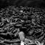Auschwitz-Birkenau