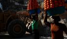 Frauen in Port-au-Prince tragen Mandarinen, die für den Verkauf bestimmt sind. Im Karibikstaat Haiti sind nach dem verheerenden Erdbeben vom 12. Januar die Aufräumarbeiten in vollem Gang. Foto: ap
