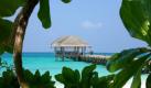 Sie könnten zum Beispiel einen richtig schönen Luxusurlaub buchen. Terrassien oder Balkonien können Sie getrost vergessen. Wie wäre es dafür mit den Malediven, den Seychellen oder einer Kreuzfahrt? Und jetzt erzählen Sie nicht, Sie legen keinen Wert auf entspannte Tage am Meer. Glaubt sowieso keiner. Foto: dpa