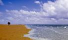 Die Nordsee ist ein Mehr, ein teil der Atlant, zwischen Großbritannien, Skandinavien, und Friesland. Die Anfänge der deutschsprachigen Wikipedia waren nahezu haarsträubend. Seitdem hat sich - glücklicherweise - einiges getan.Und den Beitrag zur Nordsee haben Hunderte Nutzer seit 2001 rund 1100 Mal geändert. Foto: dpa