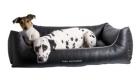 Hundebett - Artleder XL Lotte und Lemon IV.jpg Foto: Hundebett - Artleder XL Lotte und Lemon IV.jpg