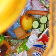 Aigner startet Kampagne gegen Lebensmittelverschwendung (Foto)