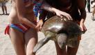 An einem Strand in Kuta auf der Insel Bali halten ausländische Touristen eine Meeresschildkröten in ihren Händen. Die Marinepolizei gab diese Schildkröten wieder frei nachdem sie von Wilderern rechtswidrig beschlagnahmt wurden. Foto: dpa