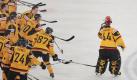 Die deutschen Puckjäger jubilieren: Der deutsche Nationalspieler Dennis Endras (rechts) wird als bester Spieler seines Teams geehrt. Foto: dpa